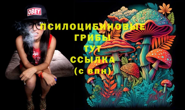 амф Приозерск