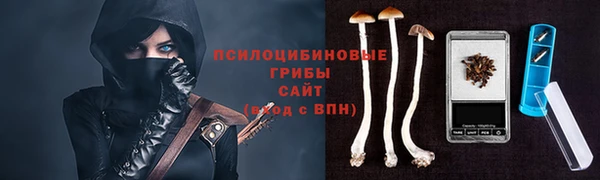 спиды Пролетарск