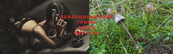 эйфоретик Протвино