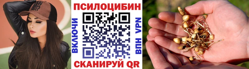 Псилоцибиновые грибы прущие грибы  Торжок 